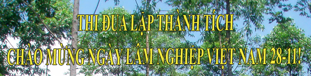 Thi đua lập thành tích chào mừng ngày Lâm nghiệp Việt Nam